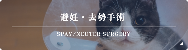 避妊・去勢手術
