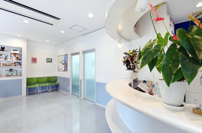 お悩みから探す診療項目