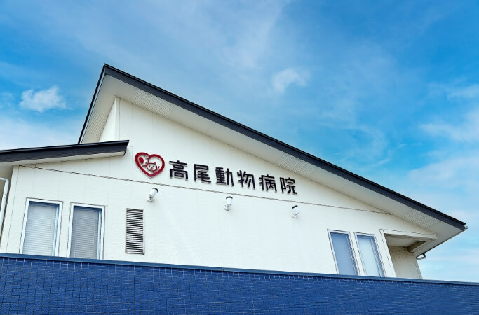 お悩みから探す診療項目