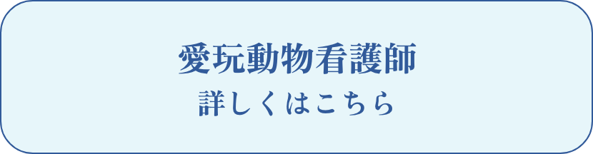 愛玩動物看護師